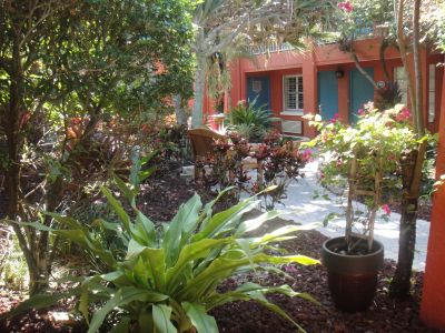 Shell Club Sanibel Trip November 23 2009 - Slide 66