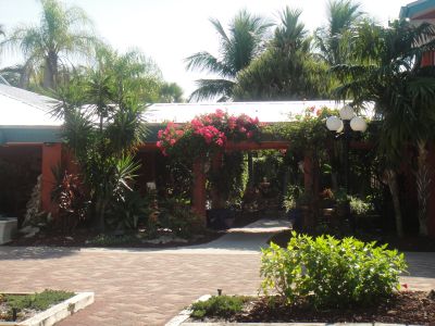 Shell Club Sanibel Trip November 23 2009 - Slide 70