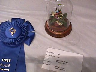 Marilyn Boyd  - Slide 11