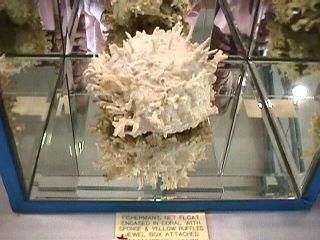 Luella Patterson  - Slide 13