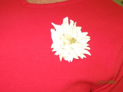 Englewood Shell Club ShellCraft December-11-2009 - Slide 3