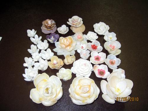 Englewood Shell Club ShellCraft January-7-2010 - Slide 1