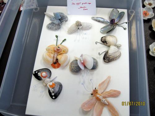 Englewood Shell Club ShellCraft January-7-2010 - Slide 6