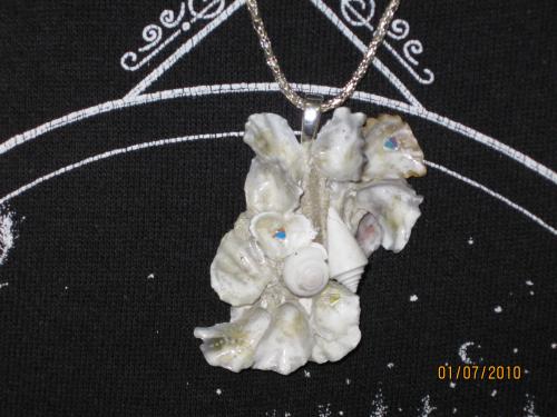 Englewood Shell Club ShellCraft January-7-2010 - Slide 17