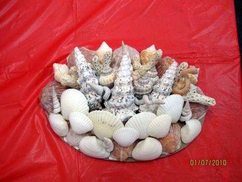 Englewood Shell Club ShellCraft January-7-2010 - Slide 24