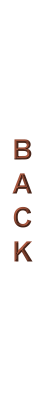 Previous