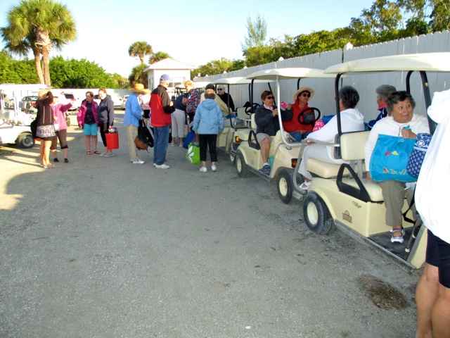 ESC Members Shelling on Palm Island - Feb 28 - 2014 - Slide 4