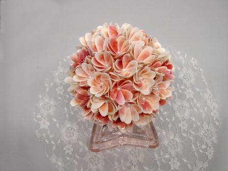 Englewood Shell Club at the Sarasota Shell Show Slide 2