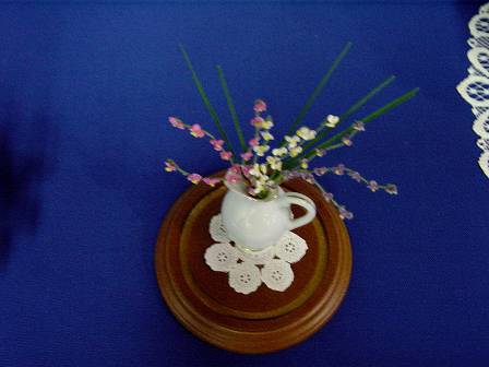 Englewood Shell Club at the Sarasota Shell Show Slide 7