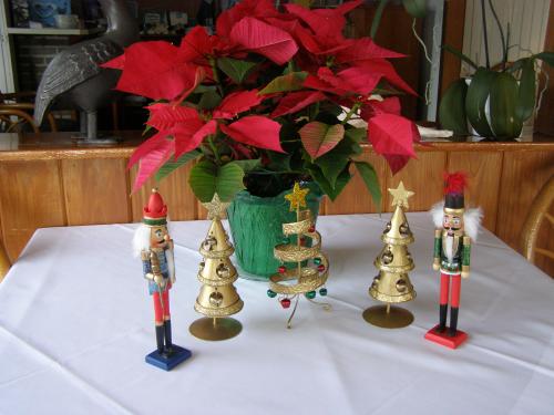 Christmas Luncheon Photos by Christina Anglin - Slide 2