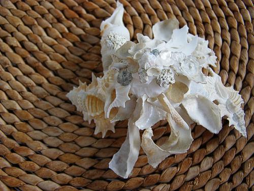 Christmas Luncheon Photos by Christina Anglin - Slide 27