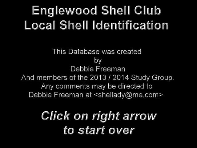 ESC Shell Database - Sample 50