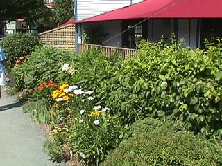 Bridge of Flowers #13
