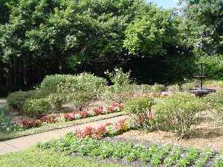 Cypress Gardens November 2002 - Slide 9