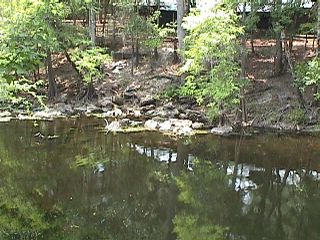 Georgia Trip ( 1999 ) #14