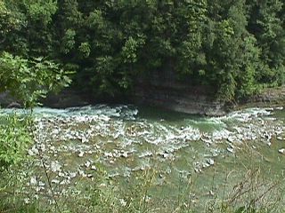 New York State Parks 1998 #49