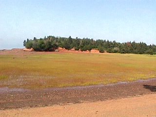 Nova Scotia Trip 1998 #5
