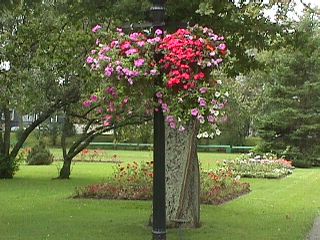 Nova Scotia Trip 1998 #31