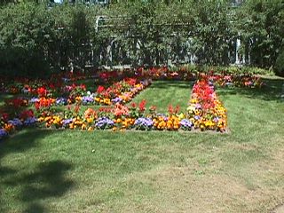 Nova Scotia Trip 1998 #50