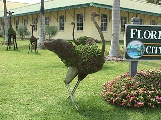 Florida City #2
