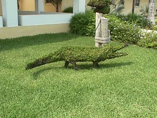 Florida City #4