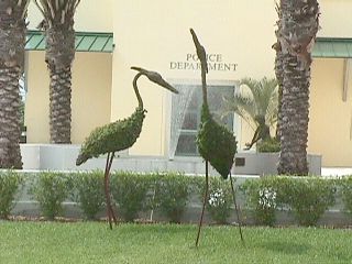 Florida City #5