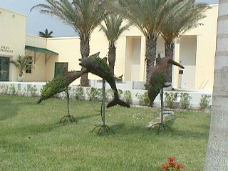 Florida City #7