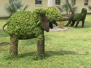 Florida City #9