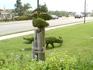 Florida City #10