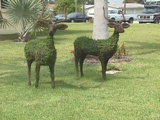 Florida City #12