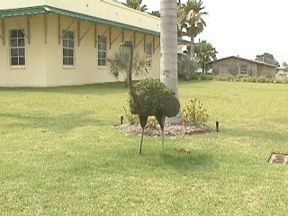 Florida City #14