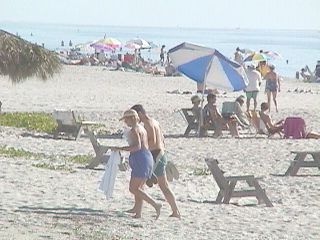 Christmas at Gulf to Bay 1998 #6