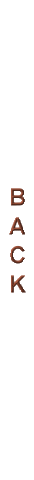 Previous