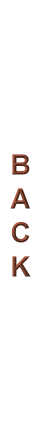 Previous