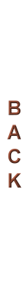 Previous