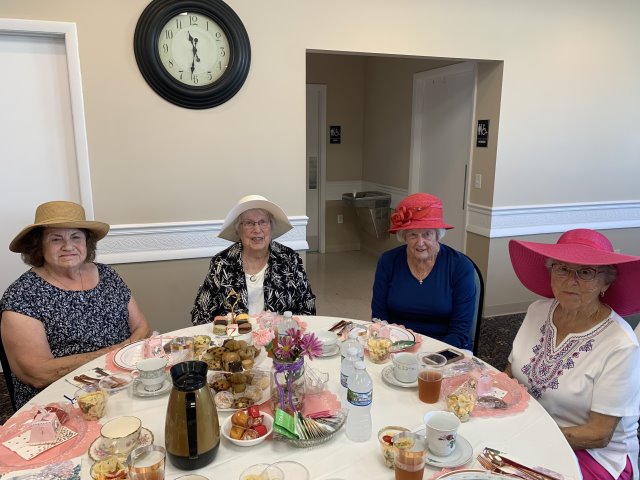 High Tea at Gulf to Bay - 2023 - Slide 17