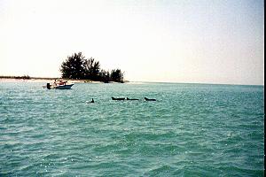 Photo Album Slide #4