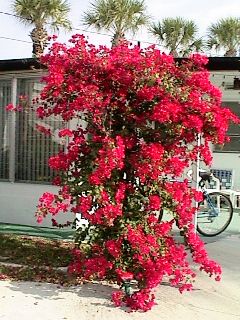 Photo Album Slide #34