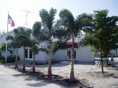 Patio Progress August, 2004  Photos by Greg Wheeler - Slide 22