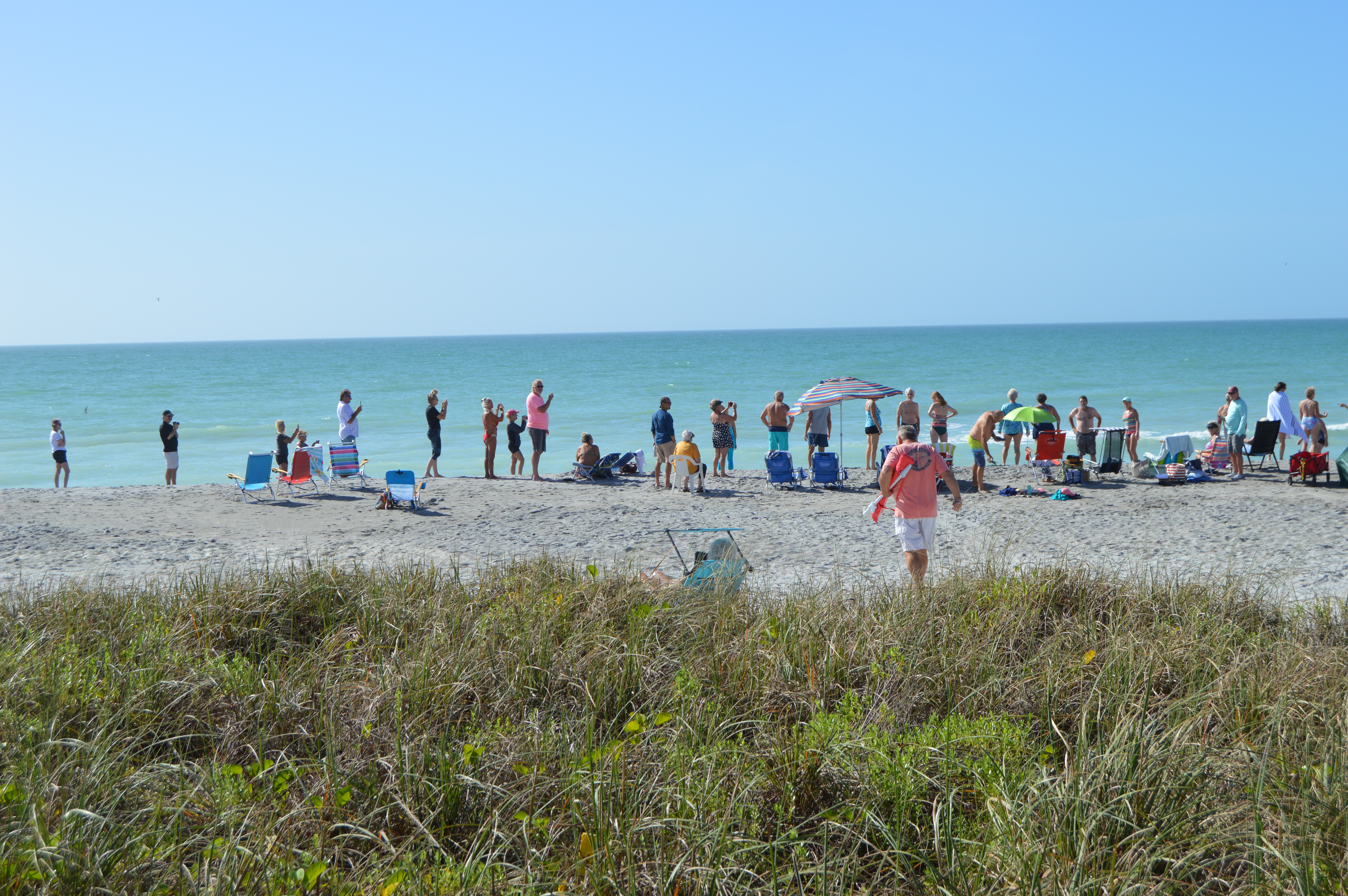 New Years Day Plunge 2021 - Photos by MJ Bishop - Slide 10  