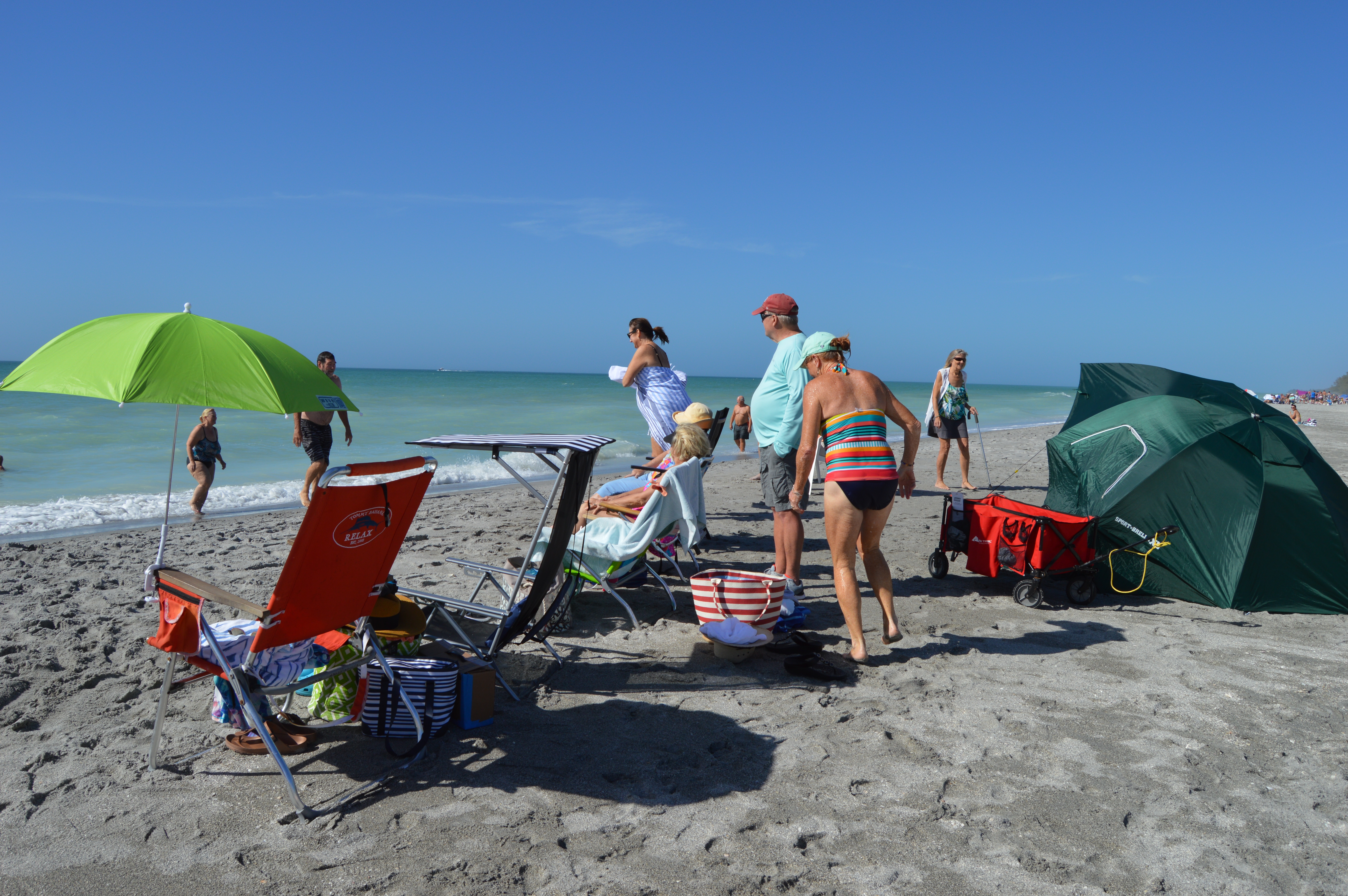 New Years Day Plunge 2021 - Photos by MJ Bishop - Slide 16  