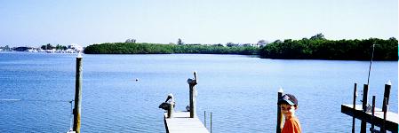 Lemon Bay