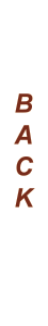 Previous